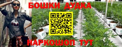 индика Северобайкальск