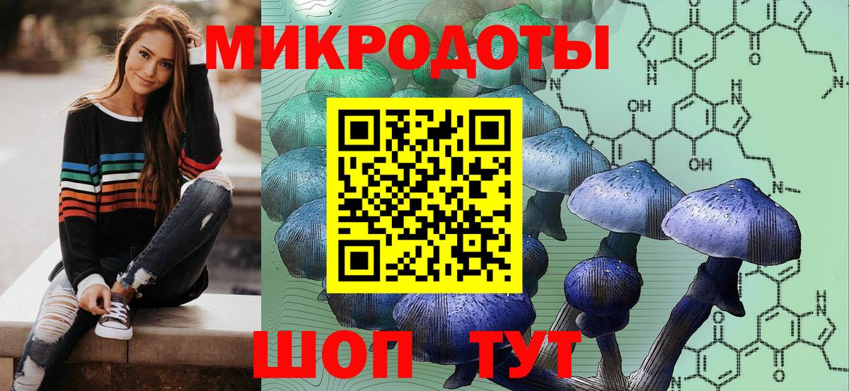 Алапаевск  Галлюциногенные грибы прущие грибы  Вход с VPN 