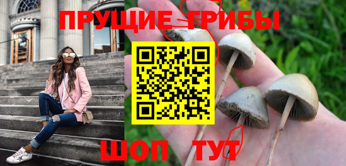 Псилоцибиновые грибы Magic Shrooms Алапаевск